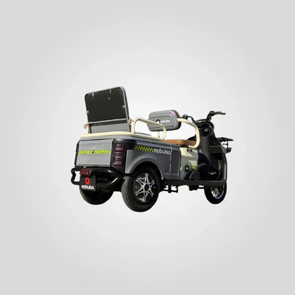 Trimoto Mobulaa Family M2