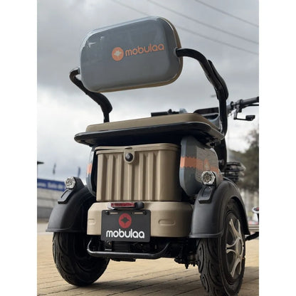 Trimoto Mobulaa Family M1