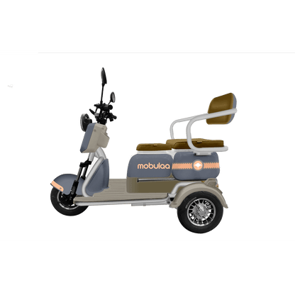 Trimoto Mobulaa Family M1