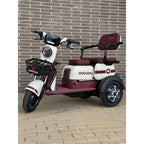 Trimoto Mobulaa Family M1