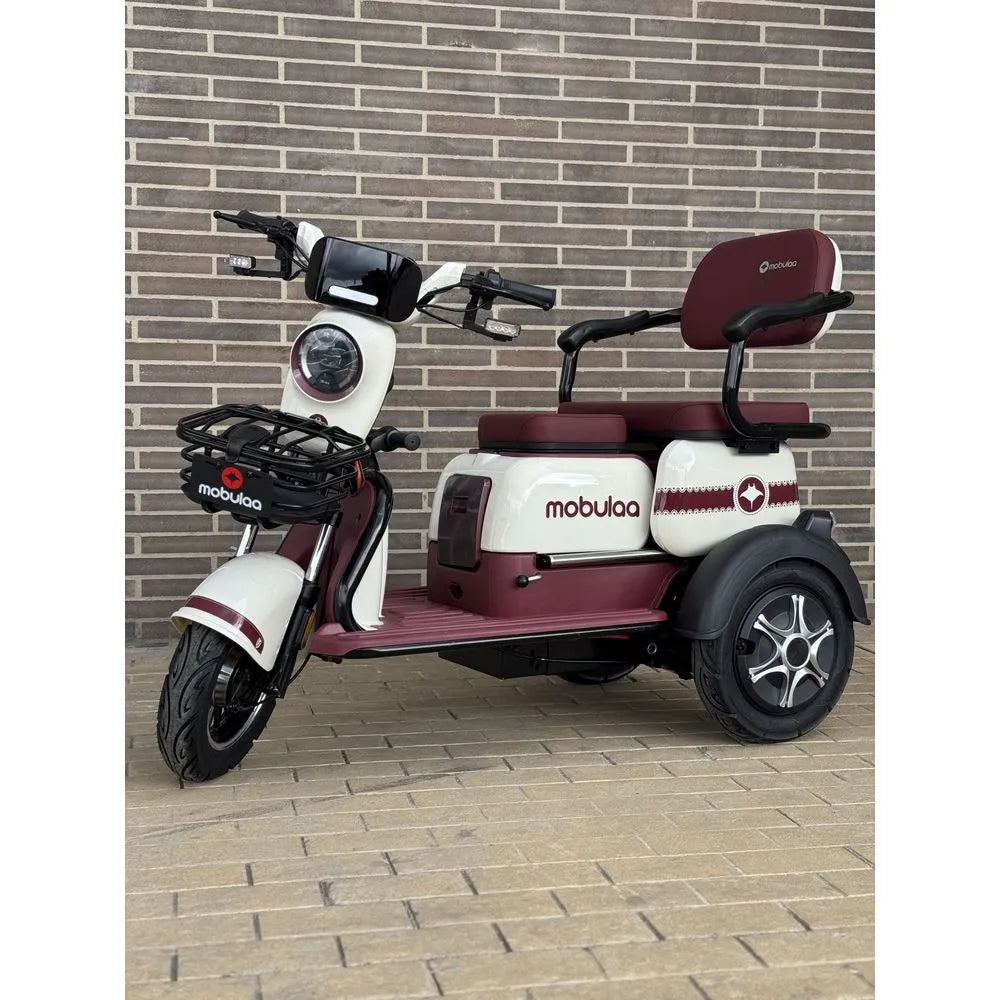 Trimoto Mobulaa Family M1