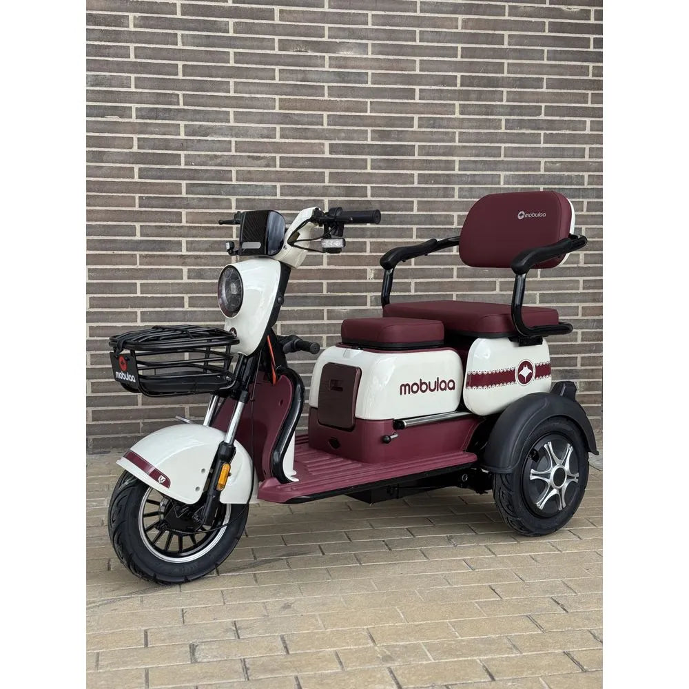 Trimoto Mobulaa Family M1