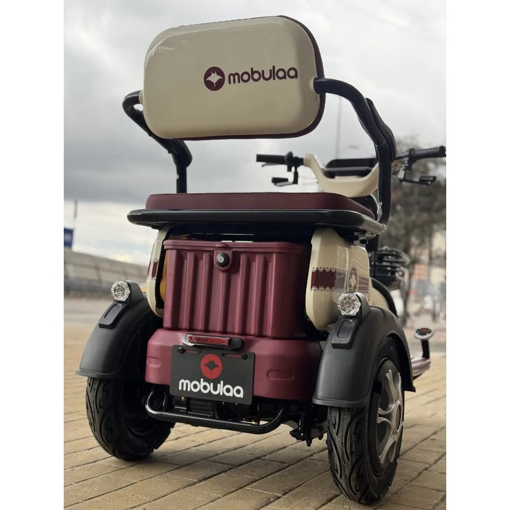 Trimoto Mobulaa Family M1
