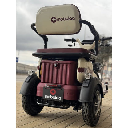 Trimoto Mobulaa Family M1