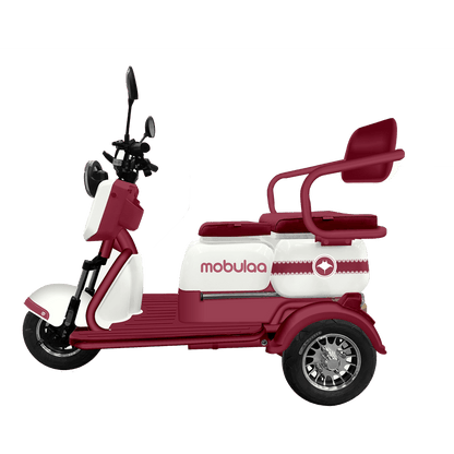 Trimoto Mobulaa Family M1