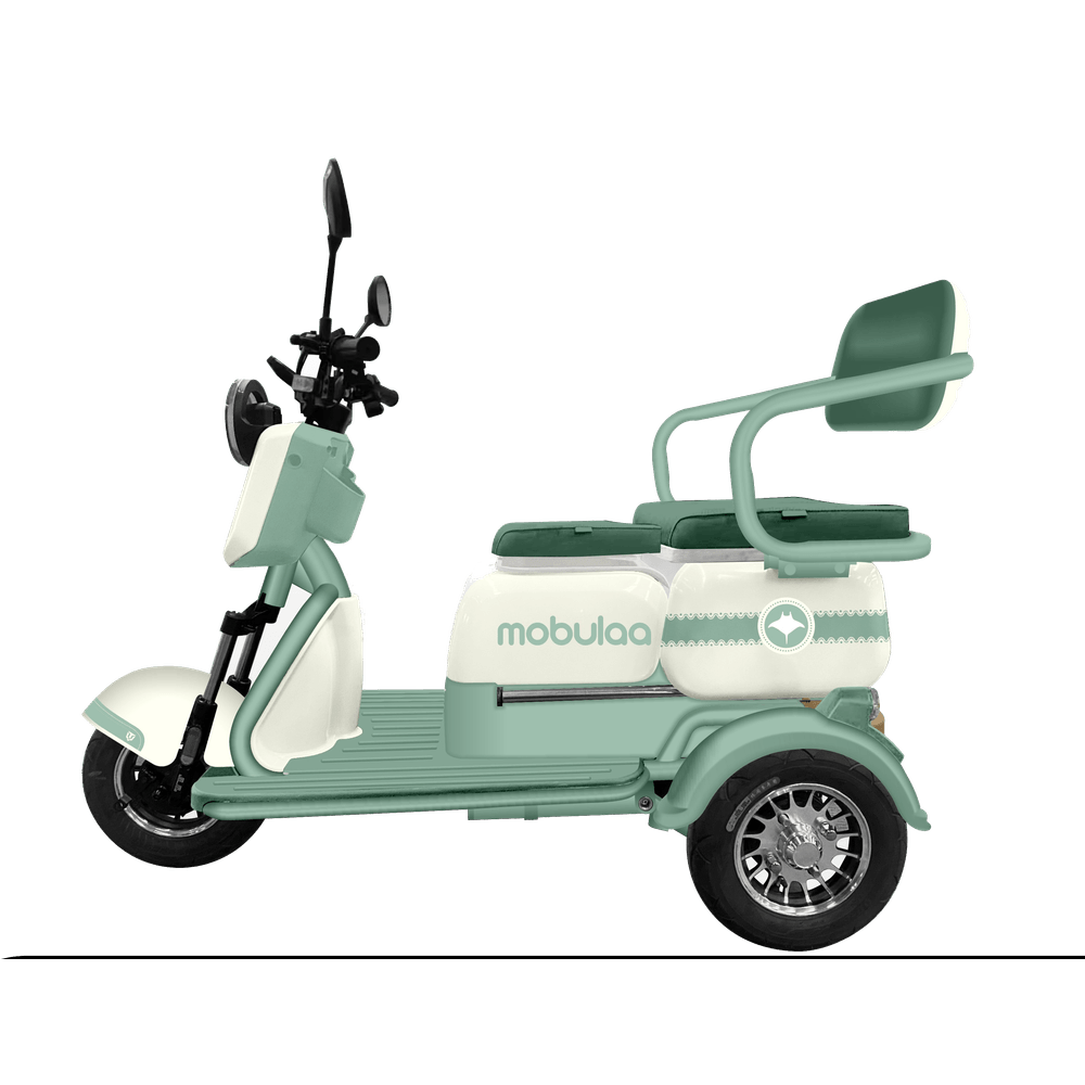 Trimoto Mobulaa Family M1