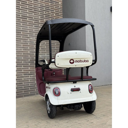 Trimoto Mobulaa P7 Family-7