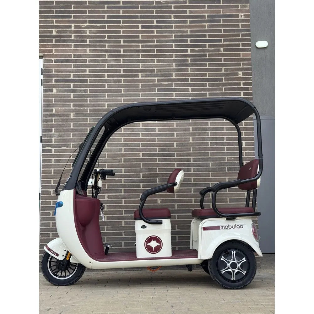 Trimoto Mobulaa P7 Family-7